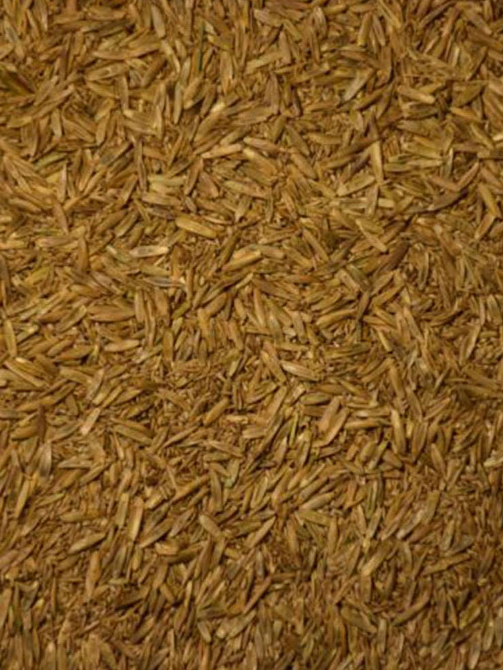 Jim's Midwest Pasture Mix